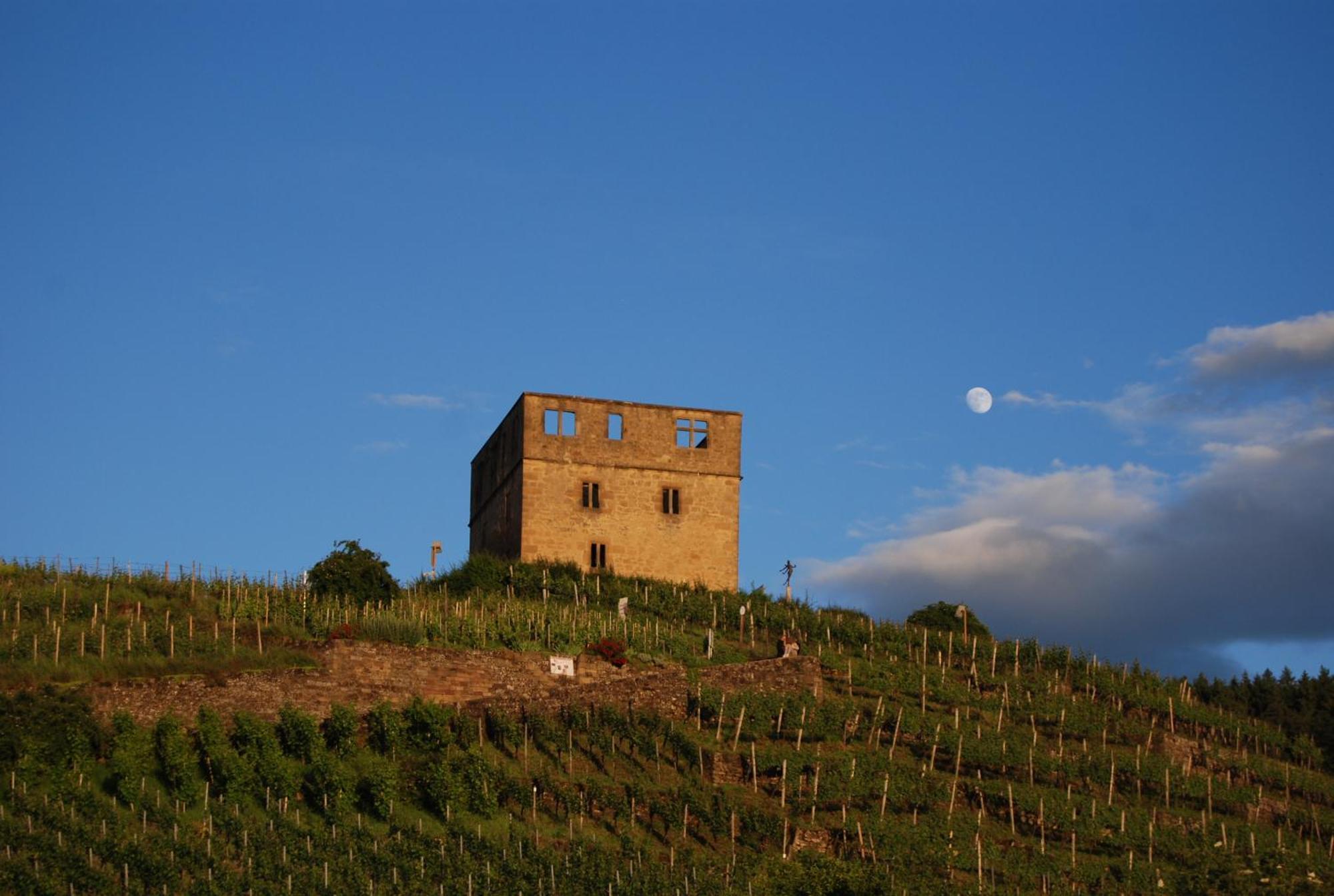 Unter Der Yburg Stetten Stetten  Exterior foto