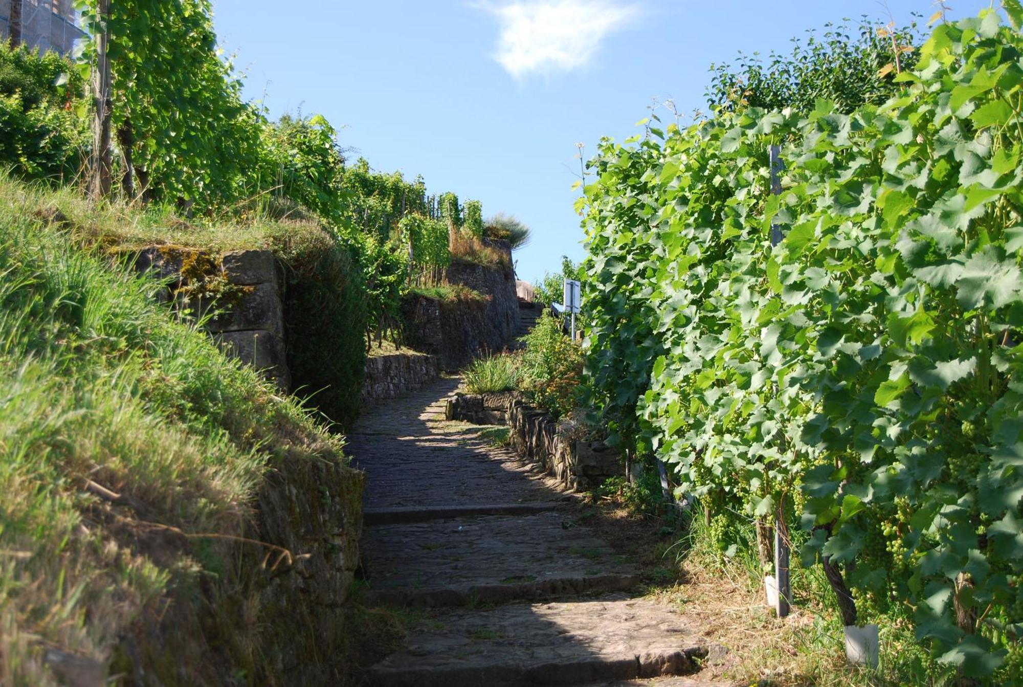Unter Der Yburg Stetten Stetten  Exterior foto